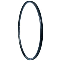 Vanne ALEX 29" 21-622, DP21 Disc, 32r, holkitettu, musta, Tubeless Ready